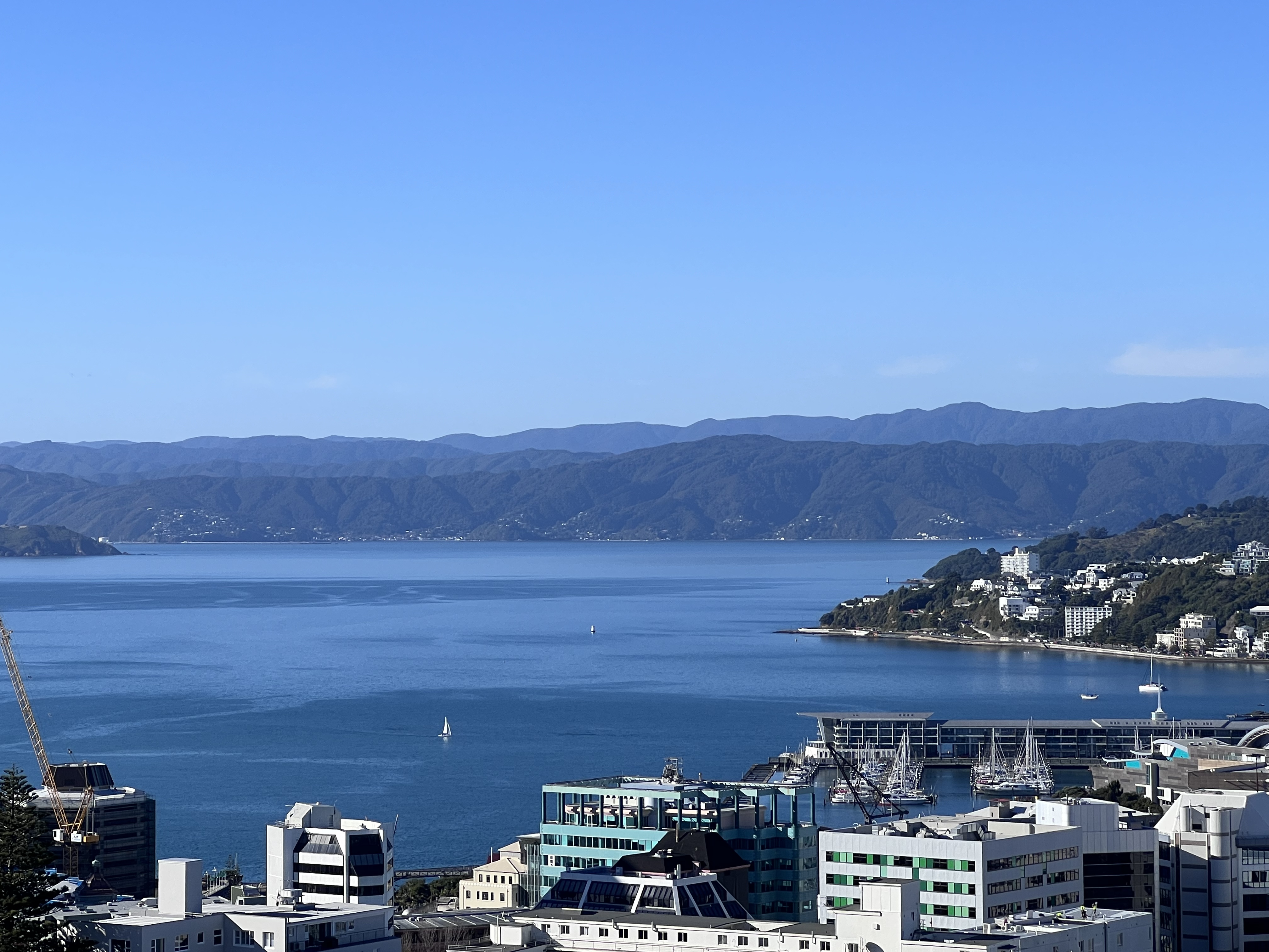 wlg.jpg